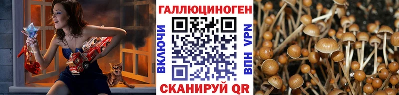 сайты даркнета состав  ссылка на мегу зеркало  Кукмор  Галлюциногенные грибы MAGIC MUSHROOMS 